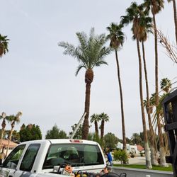 Aldo Torres Gardening And Landscaping