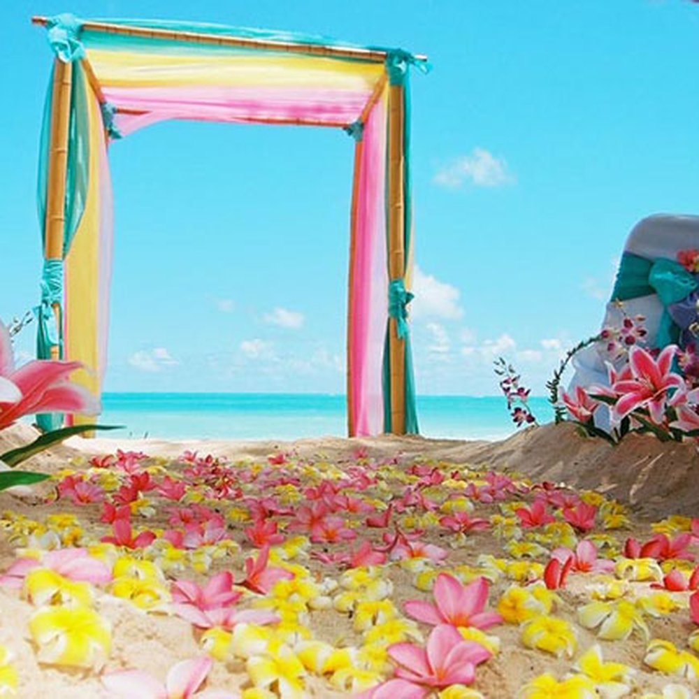 Event N Events - Event Management Sydney - Party & Event Planning Near Me - Sydney, NSW Event N Events - Event Management Sydney - Party & Event Planning Near Me - Sydney, NSW