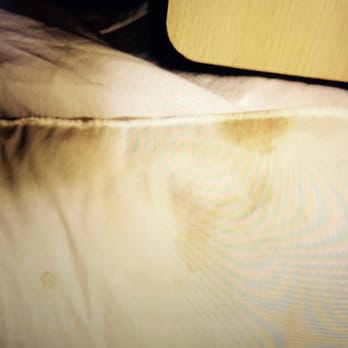 Motel 6 - More filth from a different pillow. - Hotels Near Me - Boise, Idaho Motel 6 - More filth from a different pillow. - Hotels Near Me - Boise, Idaho
