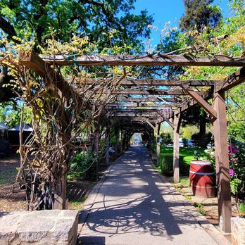 V Sattui Winery - Trellis with grape vines - Wineries Near Me - Saint Helena, California V Sattui Winery - Trellis with grape vines - Wineries Near Me - Saint Helena, California