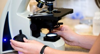 Topsfield Veterinary Hospital Image