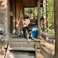 Crabtree Falls Campground