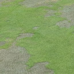 One of the greens but tee box and fairway on 3 much worse. One of the greens but tee box and fairway on 3 much worse.