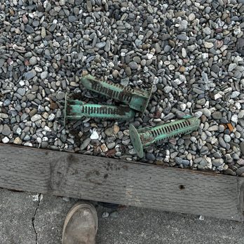 Western Exterminator Company - Three of the bait traps that were left in my front yard. - Pest Control Near Me - Santa Rosa, California Western Exterminator Company - Three of the bait traps that were left in my front yard. - Pest Control Near Me - Santa Rosa, California