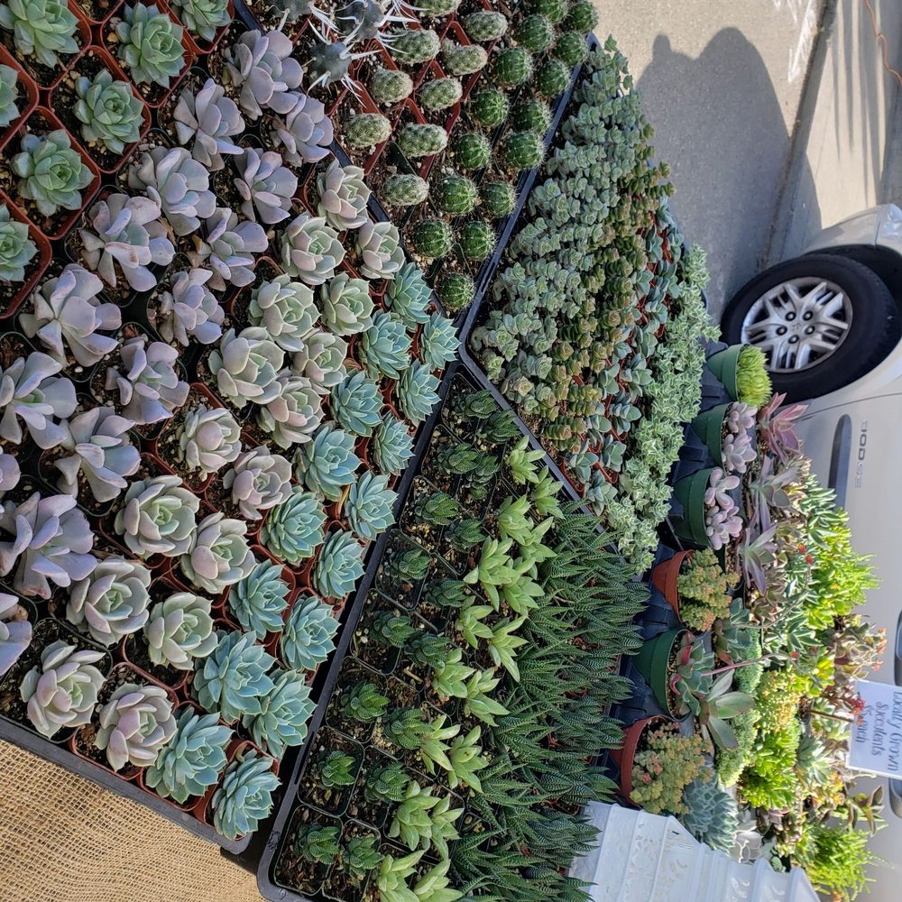 Burlingame Fresh Market - Farmers Market Near Me - Burlingame, California