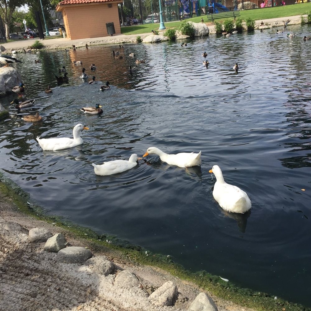 Spane Park - Parks Near Me - Paramount, California