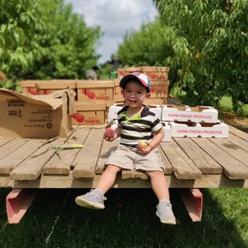 Shady Brook Farm - Peach picking with my favorite peach - Farmers Market Near Me - Yardley, Pennsylvania
