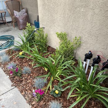 TLS Landscaping - a view of a garden - Landscaping Near Me TLS Landscaping - a view of a garden - Landscaping Near Me