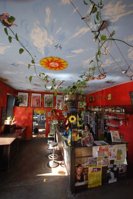 Sunflower Hostel Berlin by null