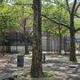 Photo of Star Spangled Playground