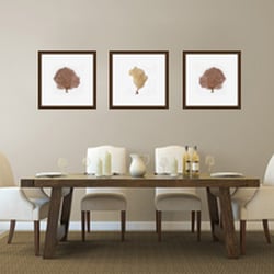 Framecrafters - Custom Framed Sea Fans