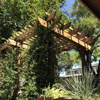Paradiso - Patio beauty - Bars Near Me - Dallas, Texas