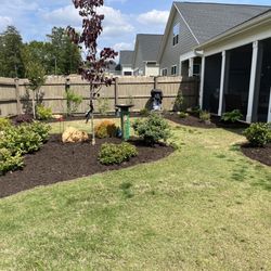 Beltran's Lawn Care - Mulch & edging