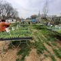 Photo of Louisville Grows