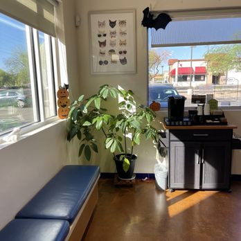 McClintock Animal Care Center - Veterinarians Near Me - Tempe, Arizona
