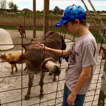 Kregel's Pumpkin Patch - Animals are so gentle. - Farmers Market Near Me - Lowell, Indiana