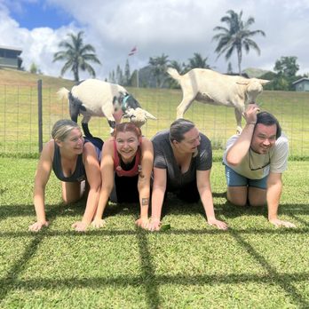 808 Goat Yoga - Yoga Near Me - Kilauea, Hawaii