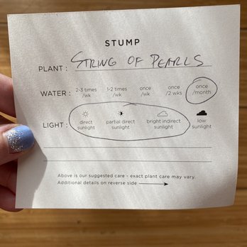 STUMP - Plant care card - Nurseries & Gardening Near Me - Savannah, Georgia STUMP - Plant care card - Nurseries & Gardening Near Me - Savannah, Georgia