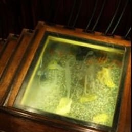 Fish under stairs