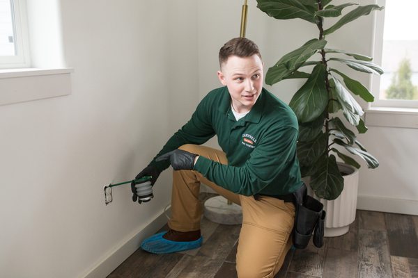 Natural Ant Service - Natural ant service includes exterior perimeter spray and interior service if desired. We get the job done in just one visit over 80% of the time. Natural Ant Service - Natural ant service includes exterior perimeter spray and interior service if desired. We get the job done in just one visit over 80% of the time.