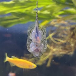 Red's Aquarium & Pet Supply