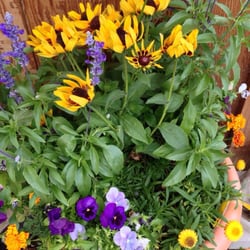 Native Roots Garden Center - Plants on hand.