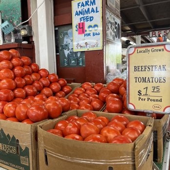 Robert Is Here - Fruits & Veggies Near Me - Homestead, Florida Robert Is Here - Fruits & Veggies Near Me - Homestead, Florida