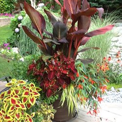 Kathy's Small Garden Company - Containers
