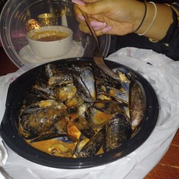 Mussels Mussels