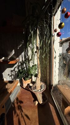 Belil Sabores de Chiapas by null