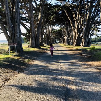 Cypress Tree Tunnel - Parks Near Me - Inverness, California Cypress Tree Tunnel - Parks Near Me - Inverness, California