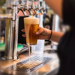 Local Hollow Brewing - Enjoy a pint of Local Hollow Brews