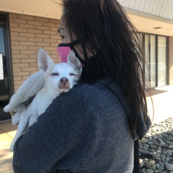 Calaveras Veterinary Clinic - Outside the clinic. Sushi was tired of fighting. At peace now - Veterinarians Near Me - Milpitas, California Calaveras Veterinary Clinic - Outside the clinic. Sushi was tired of fighting. At peace now - Veterinarians Near Me - Milpitas, California