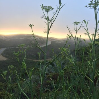 Sweeney Ridge - Sunrise - Parks Near Me - San Bruno, California
