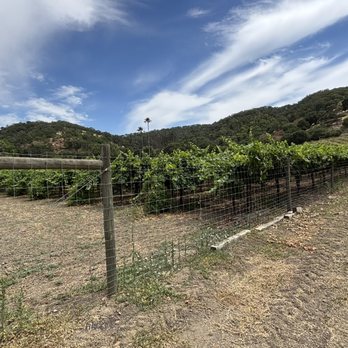 William Welch Wines - Estate grapes right across the road - Wine Tasting Room Near Me - Martinez, California William Welch Wines - Estate grapes right across the road - Wine Tasting Room Near Me - Martinez, California