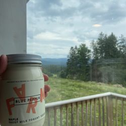 Sugar House Creamery - Maple Flavor Sheep Milk Yogurt