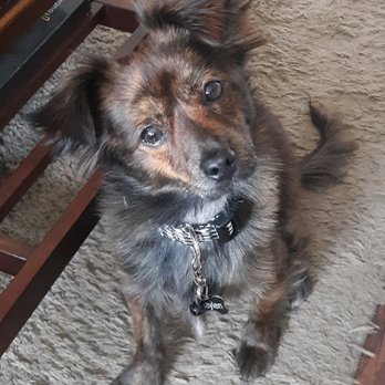 nearest hollywood feed