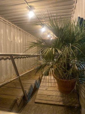 Alcove Beer Garden by null