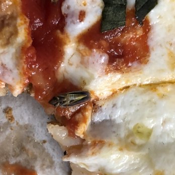 The Brick - A bug right in the middle of my son's Margherita pizza. YUCK!!! - Pizza Near Me - Bethlehem, Pennsylvania