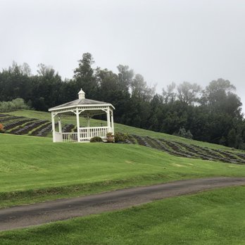 Ali'i Kula Lavender - Tours Near Me - Kula, Hawaii Ali'i Kula Lavender - Tours Near Me - Kula, Hawaii