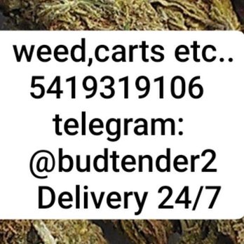 Trulieve Jacksonville Dispensary Southside Estates - Cannabis Clinics Near Me - Jacksonville, Florida Trulieve Jacksonville Dispensary Southside Estates - Cannabis Clinics Near Me - Jacksonville, Florida