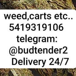 Trulieve Jacksonville Dispensary Southside Estates