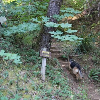 Camp Nauvoo - Venues & Event Spaces Near Me - Placerville, California Camp Nauvoo - Venues & Event Spaces Near Me - Placerville, California