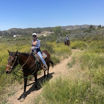Susie Q Ranch - Beautiful flower blooms, raptors flying above and even a few rarely seen horny toads! - Horseback Riding Near Me - Murrieta, California Susie Q Ranch - Beautiful flower blooms, raptors flying above and even a few rarely seen horny toads! - Horseback Riding Near Me - Murrieta, California