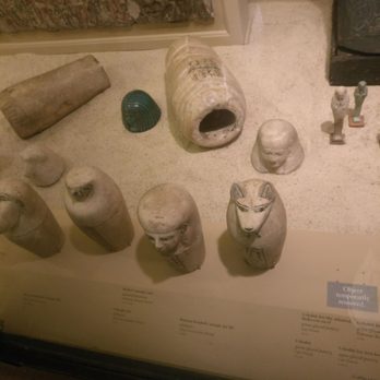 Field Museum - Museums Near Me - Chicago, Illinois