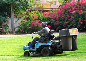 Juan's Quality Lawn Care & Landscaping - tree service in Knoxville, TN