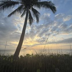 Tequesta early am delight...