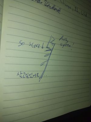 Molen De Valk by null