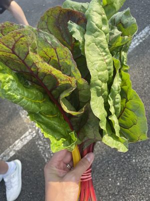 Broad Ripple Farmers Market by null