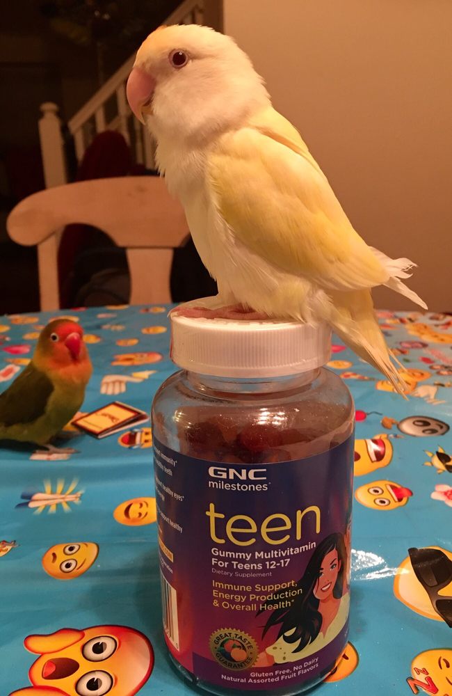 GNC Updated April 2024 1230 Chews Landing Road, Laurel Springs, New Jersey Health Markets